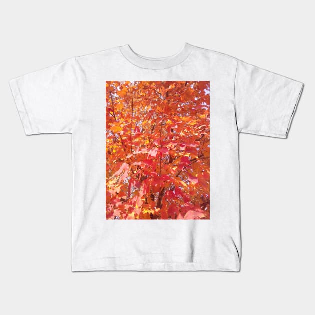 Red Autumn Leaves Kids T-Shirt by JadedAlice